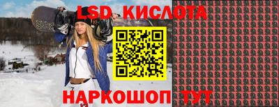 стафф Будённовск