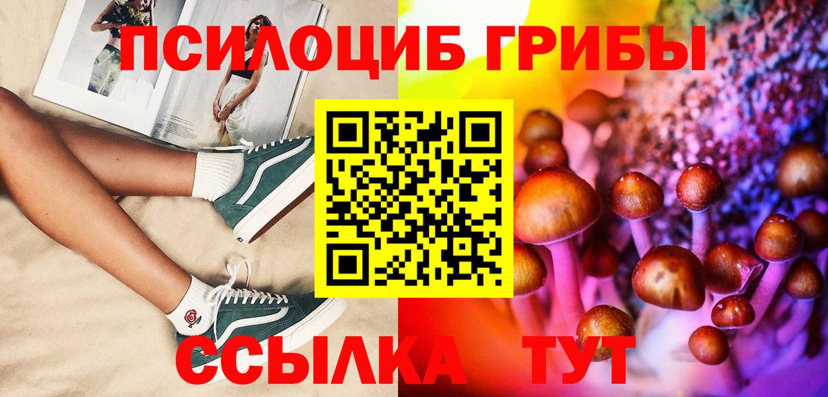 Псилоцибиновые грибы Cubensis Мегион