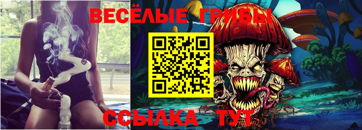 Галлюциногенные грибы Psilocybe  Вход с VPN  Мегион 